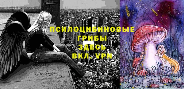MDMA Premium VHQ Алексеевка